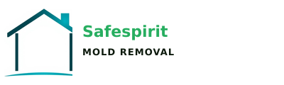 Safespirit Mold Removal